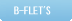 about NTT B-FLET'S